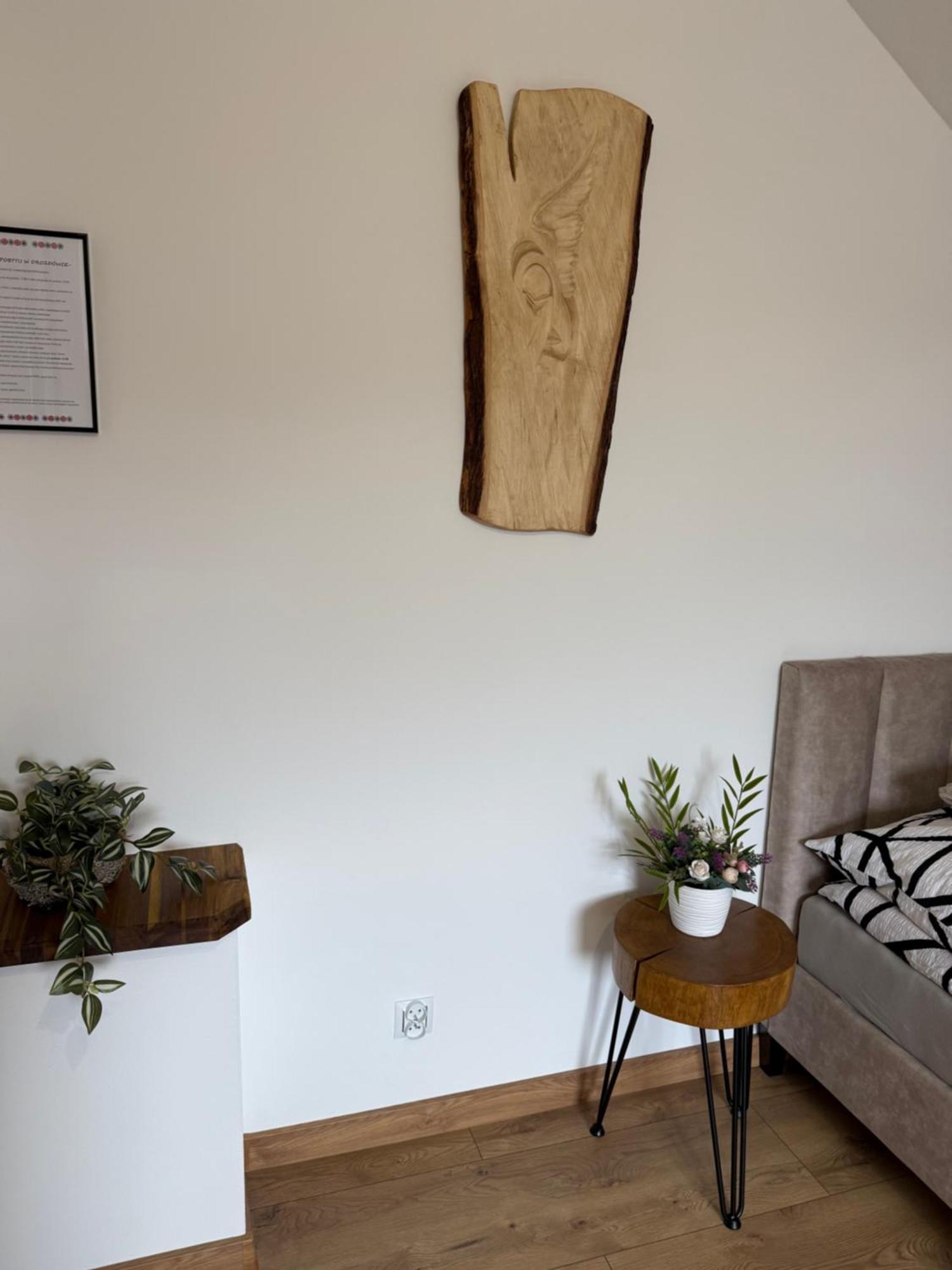 Apartament Z Tarasem I Pokoje Klimatyzowane -Drozdowka Solina Solina  Exteriör bild